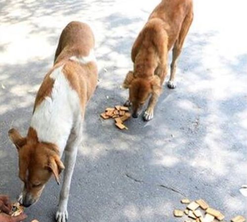 WhatsApp Image 2025-10-18 at 16.11.51